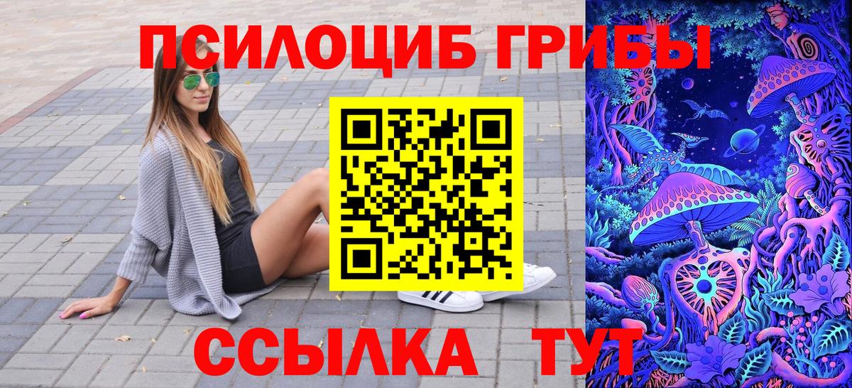 цена   Псилоцибиновые грибы MAGIC MUSHROOMS  Вход с VPN  Семилуки 