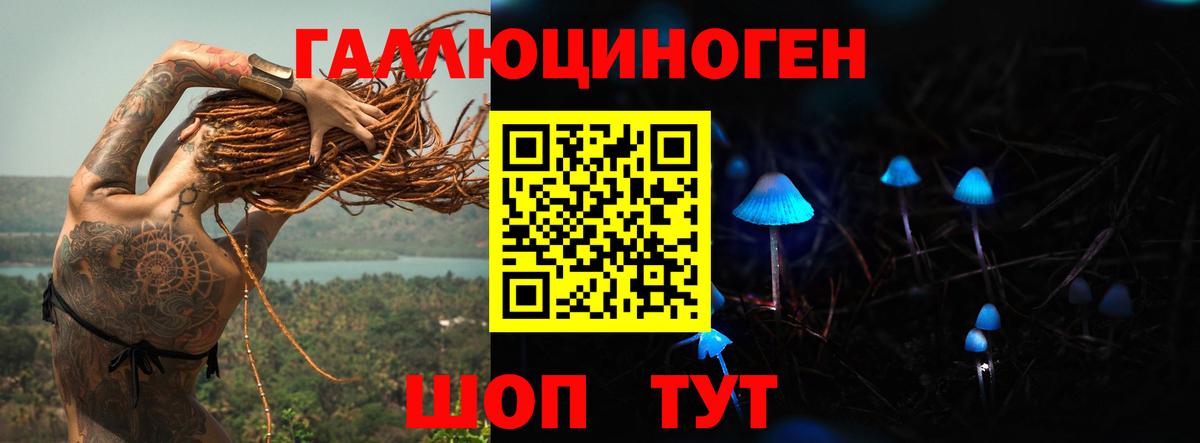 Псилоцибиновые грибы GOLDEN TEACHER Семилуки